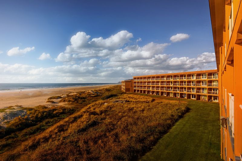 Pet-Friendly Policies That Actually Feel Welcoming