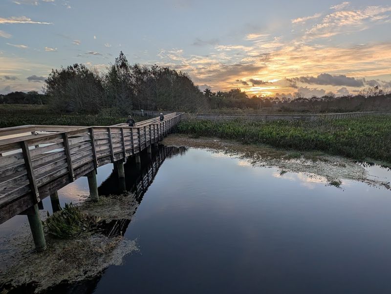 The 1.5-Mile boardwalk That Changes Everything