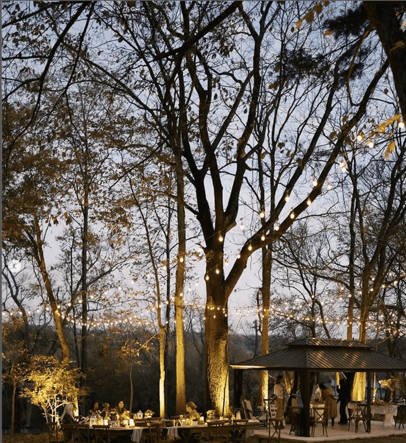 Luxury Picnics With Pastoral Views That Stop Time