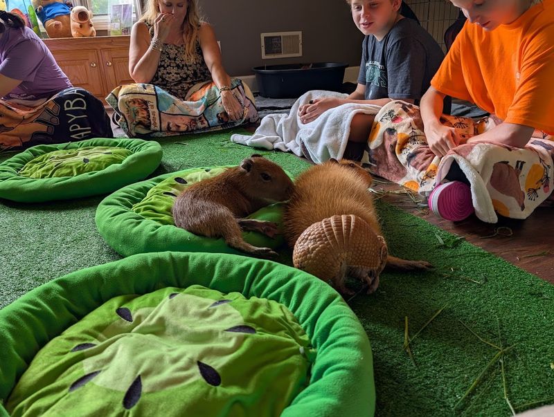 Visiting With Kids and Groups: What to Know