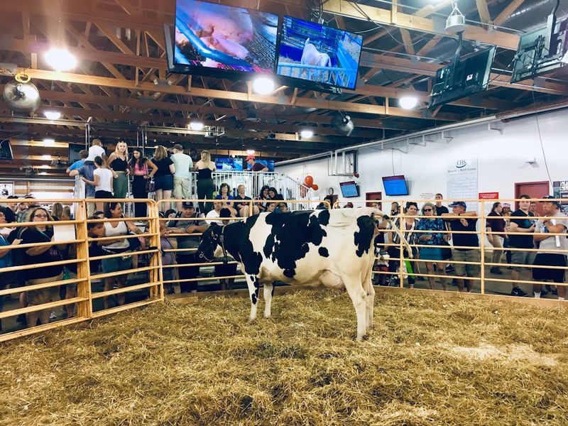 The Miracle of Birth Center