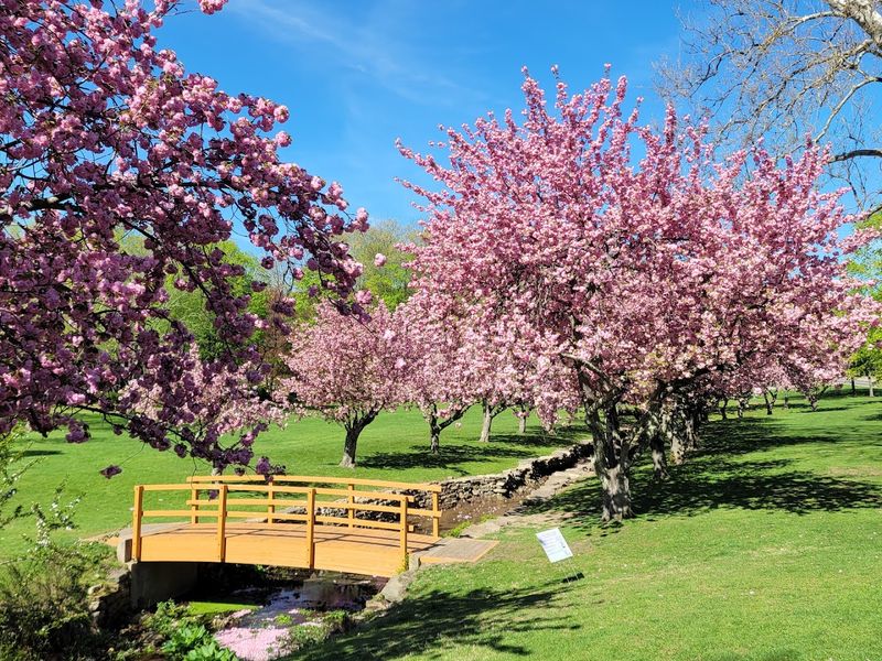 Picnic Spots That Feel Almost Too Good to Be True