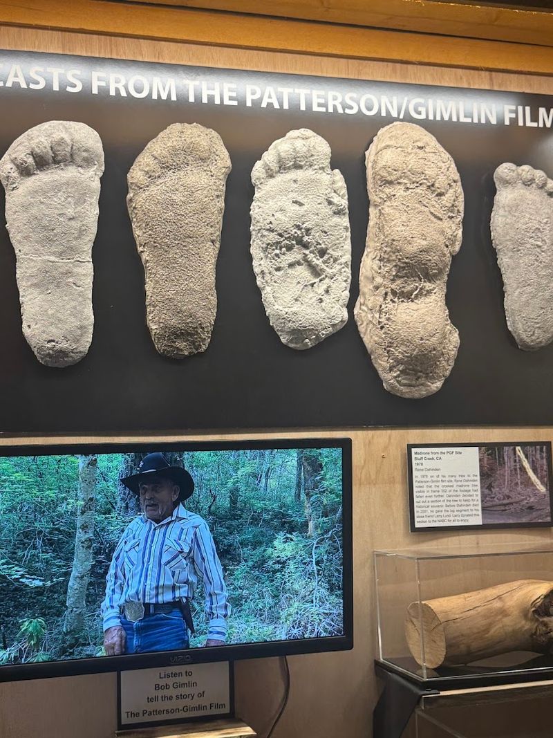 The Patterson-Gimlin Film and Famous Footage on Display