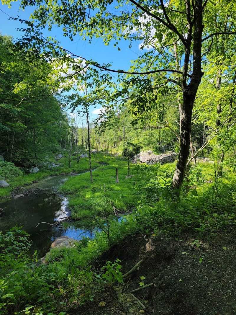 Wildlife Encounters That Make You Stop Walking