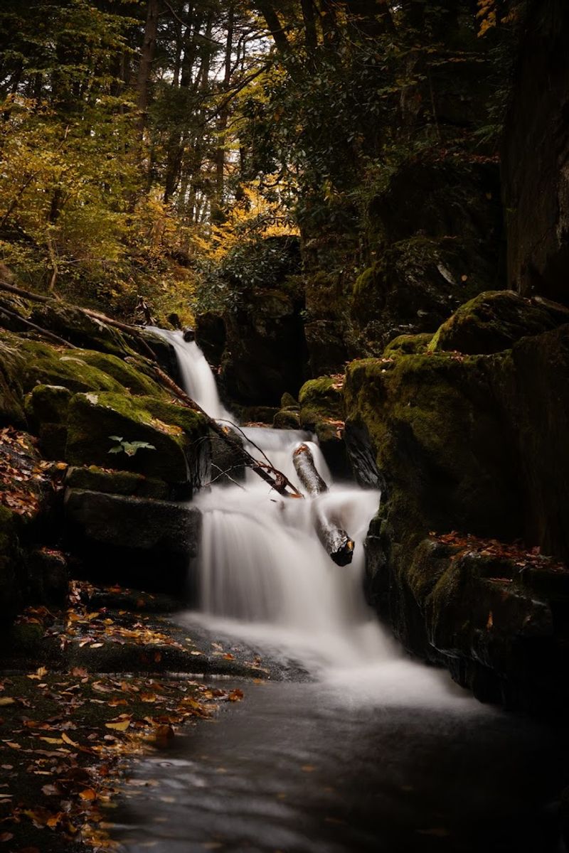 The Main Event: Van Campens Falls and Its Two-Part Drama