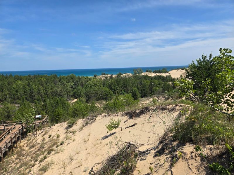 Dune Succession Trail Indiana Dunes