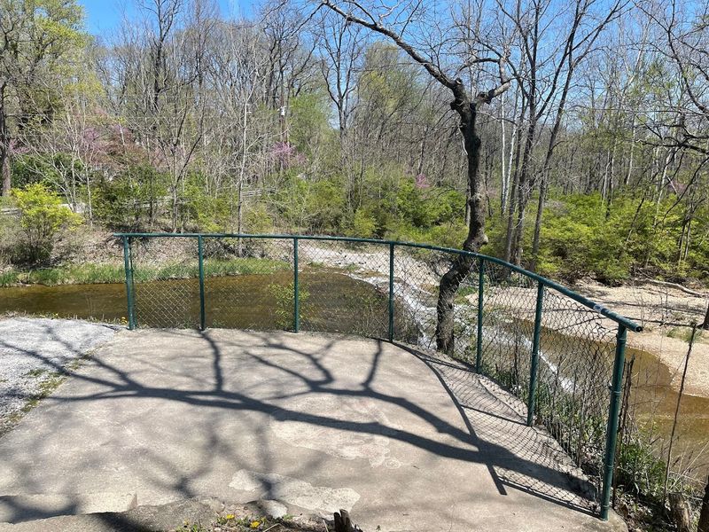 Accessibility That Goes Beyond the Basics