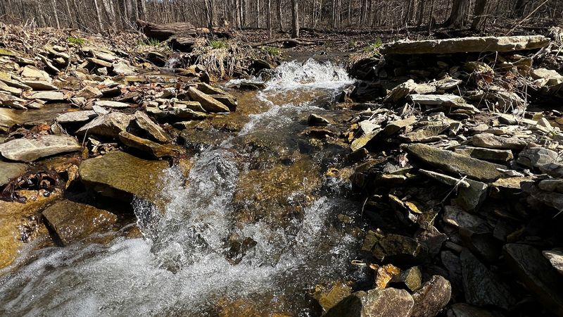 Seasonal Beauty That Transforms the Whole Experience