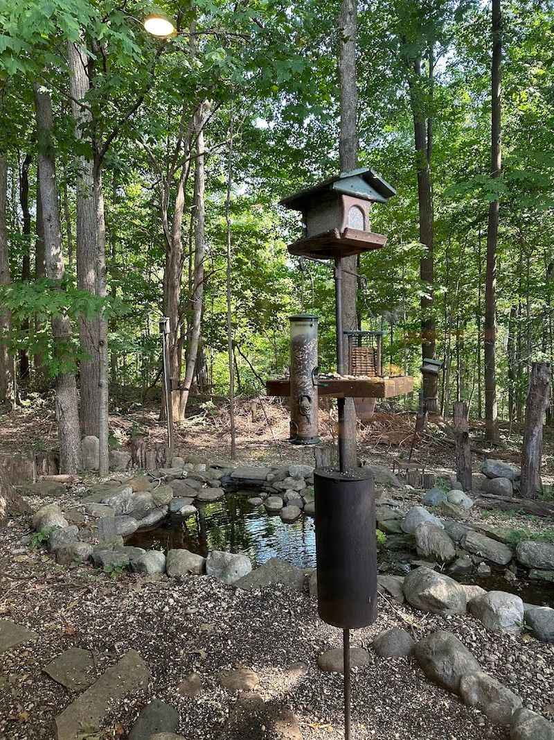 Over 160 Bird Species Create a Birding Paradise