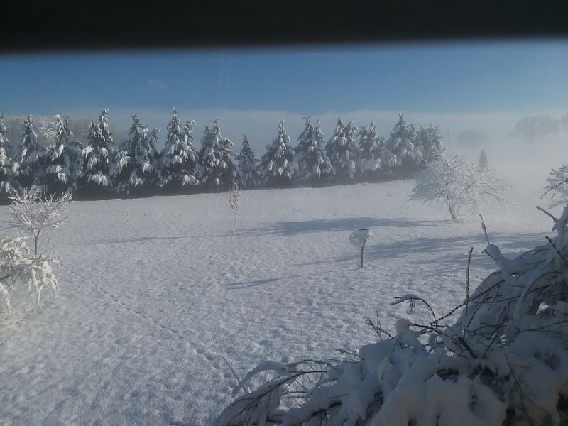 Plan Your Visit to Rocky Mount, Franklin County, Virginia