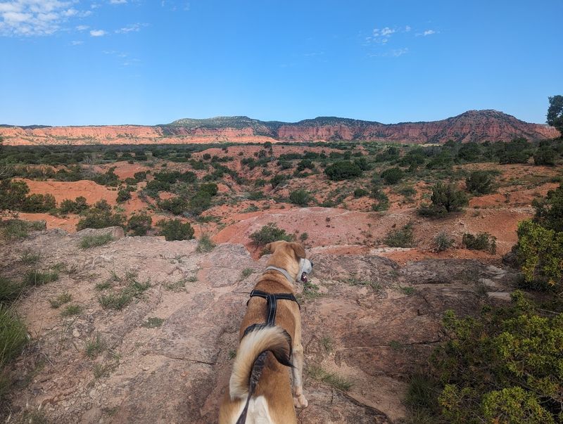 Palo Duro Canyon State Park, Canyon