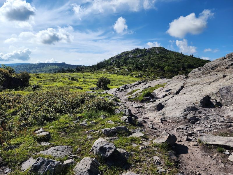 The Appalachian Trail Cuts Right Through the Park