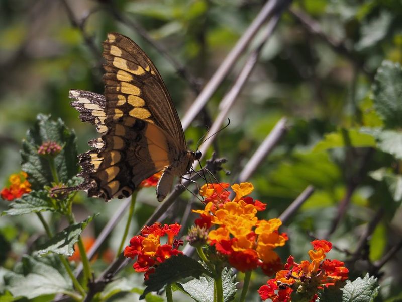 A Peaceful Urban Escape That Stays With You After You Leave