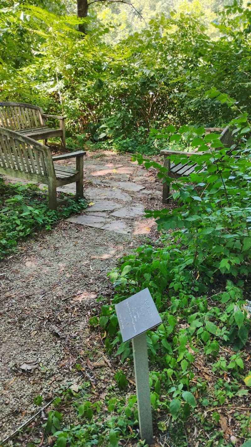 The ARTSPARK Trail Turns the Whole Visit Into an Adventure