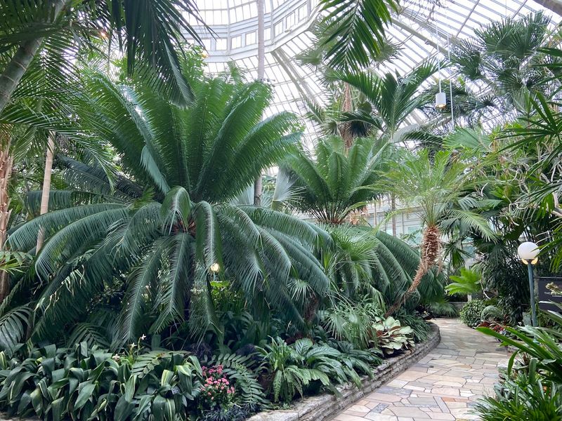 The Palm Dome Conservatory