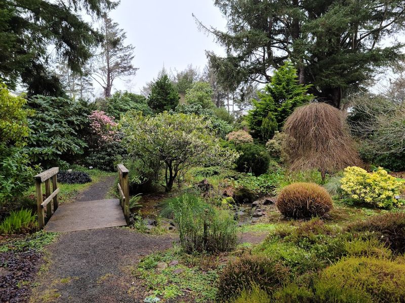 The Best Rainy Day Stop on the Oregon Coast