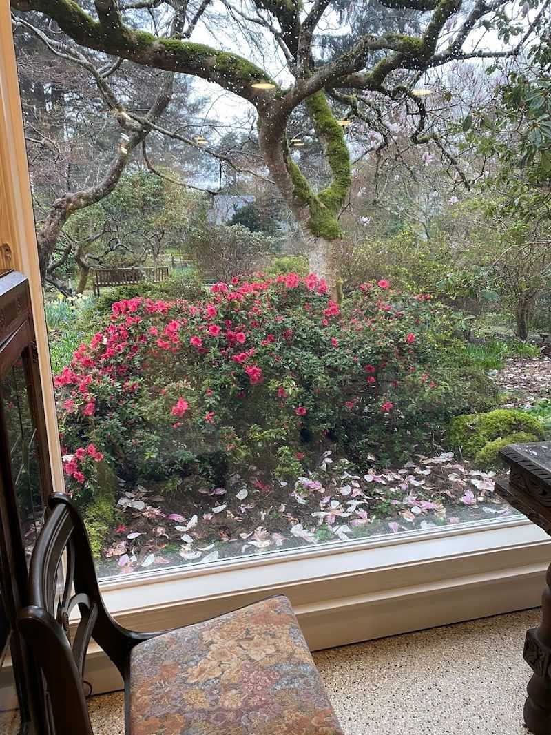 A Garden That Blooms Across Every Season