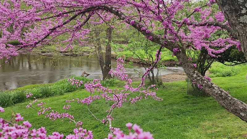 Picnicking on Grounds That Feel Like a Different Century