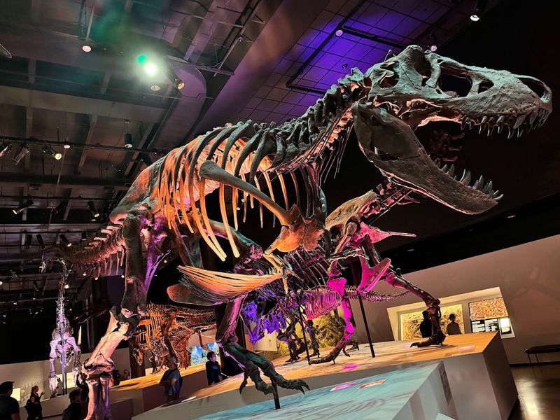 Dinosaur Hall: A Prehistoric World Under One Roof