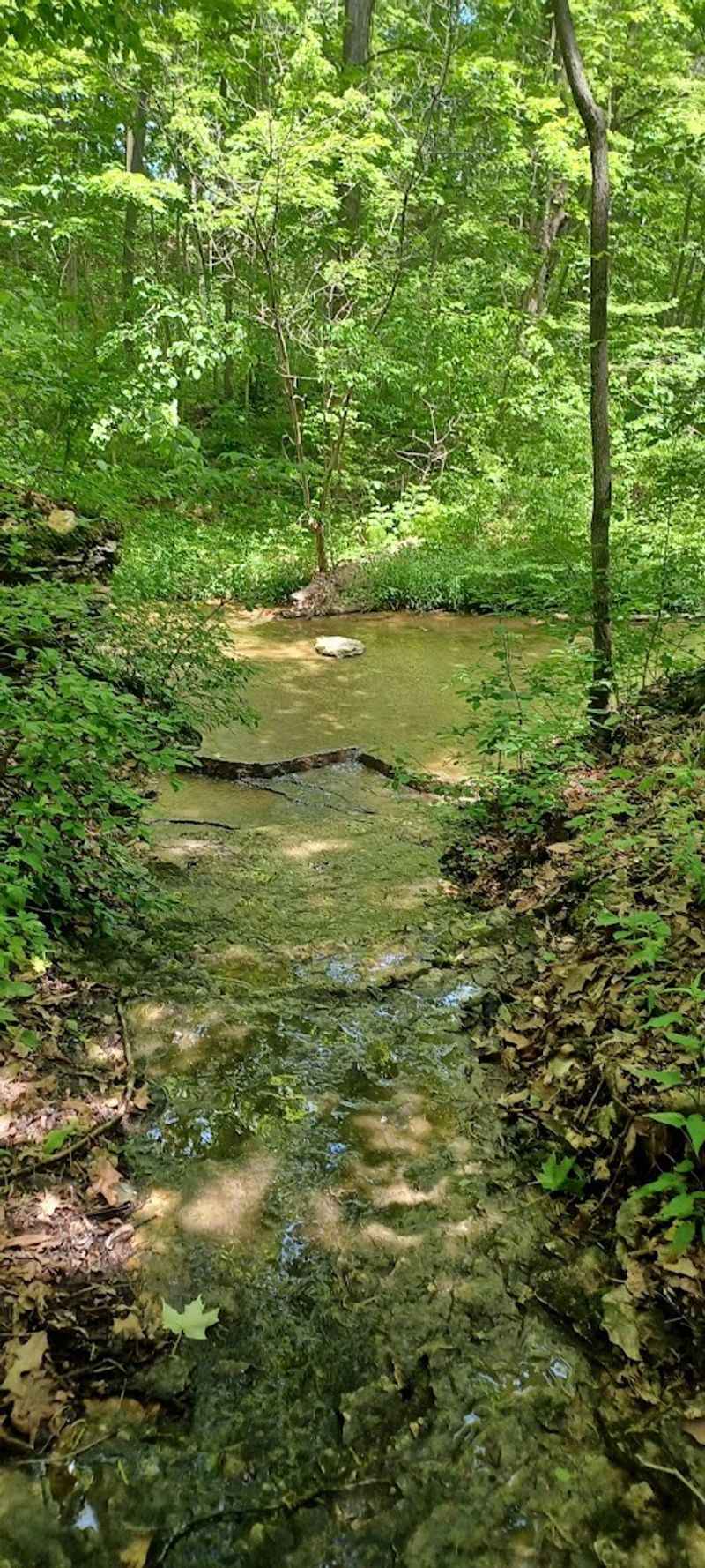 Educational Value That Makes the Outdoors Feel Like a Classroom