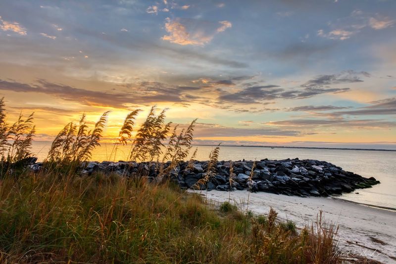 The Beaches, Wildlife, and Waterfront Charm