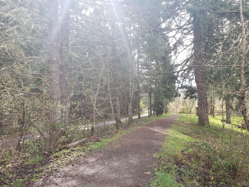 Senior-Friendly Features That Actually Deliver