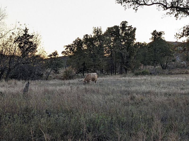 Wildlife in the Refuge Keeps Every Hike Unpredictable