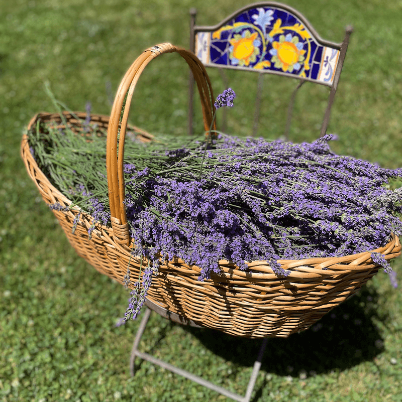 The U-Pick Experience That Makes You Feel Like a Farmer for a Day