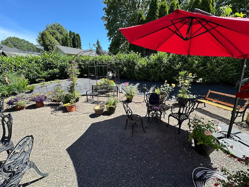 The Outdoor Garden Space in the Back