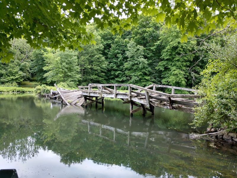 Allamuchy Pond and Its Glassy Surface