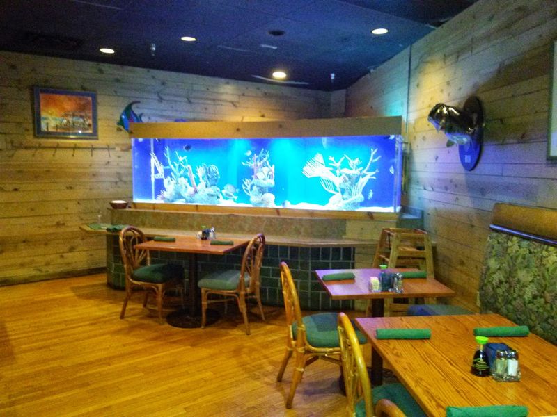 A Dining Room Bathed In Aquarium Glow
