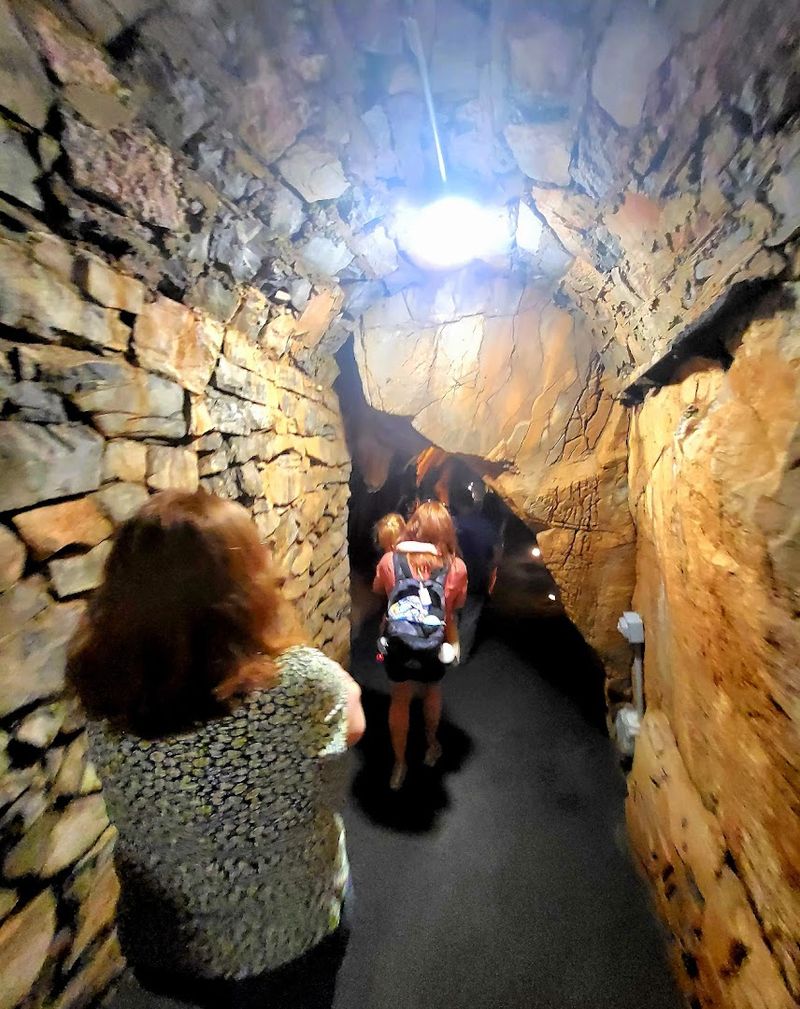 What a Guided Tour Actually Feels Like