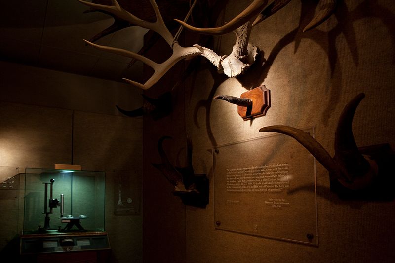 Spotlights Reveal, Corners Stay Dark