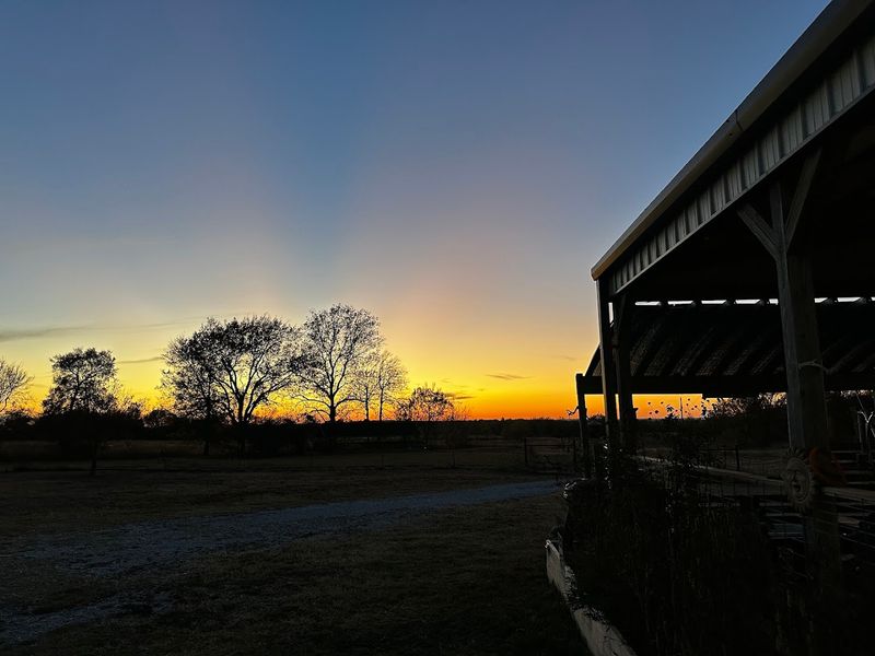 The Harvest Host Experience at 360 Farms