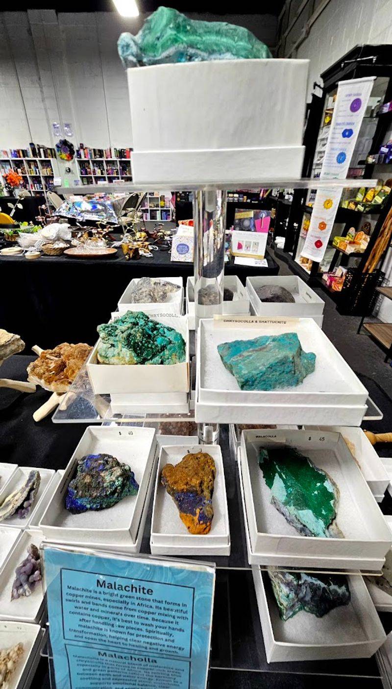 A Welcoming Community Space for Every Kind of Visitor