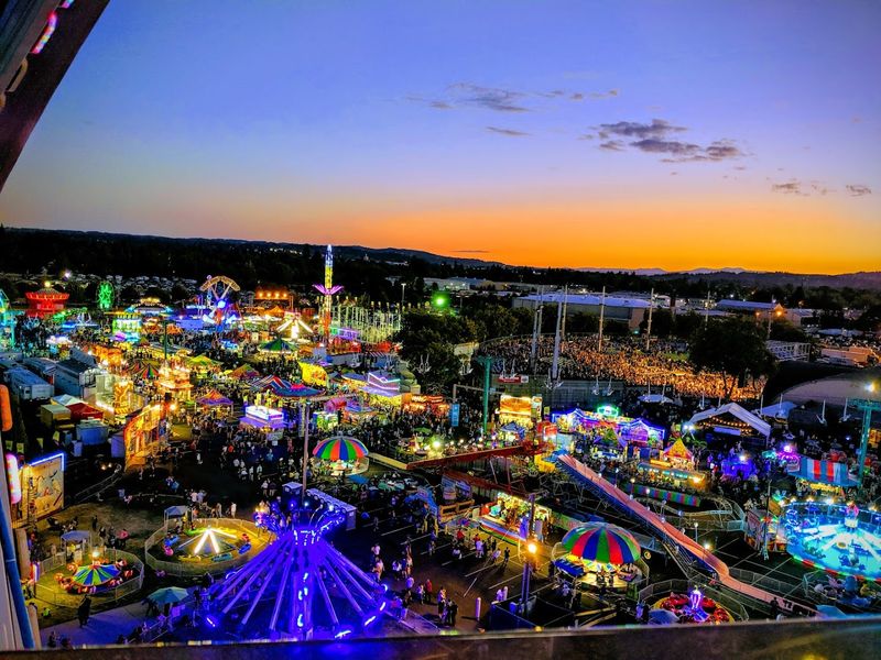 The Midway Energy Around Every Bite