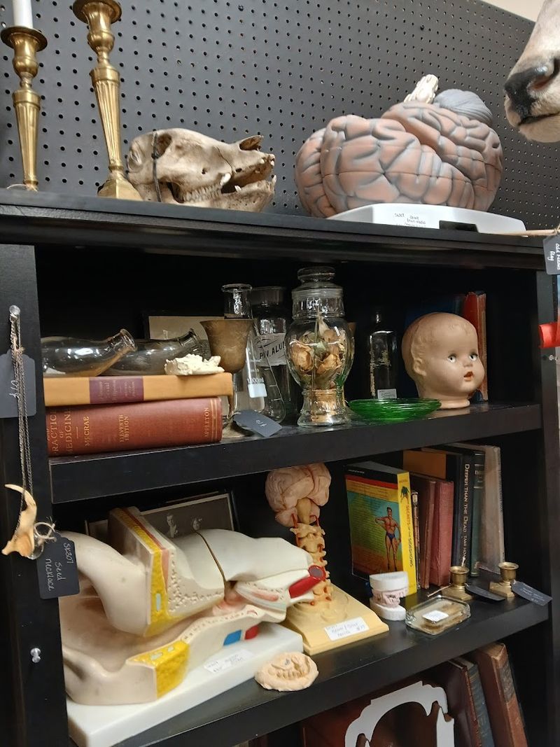 Collectibles Keep Treasure Hunters Looking Longer