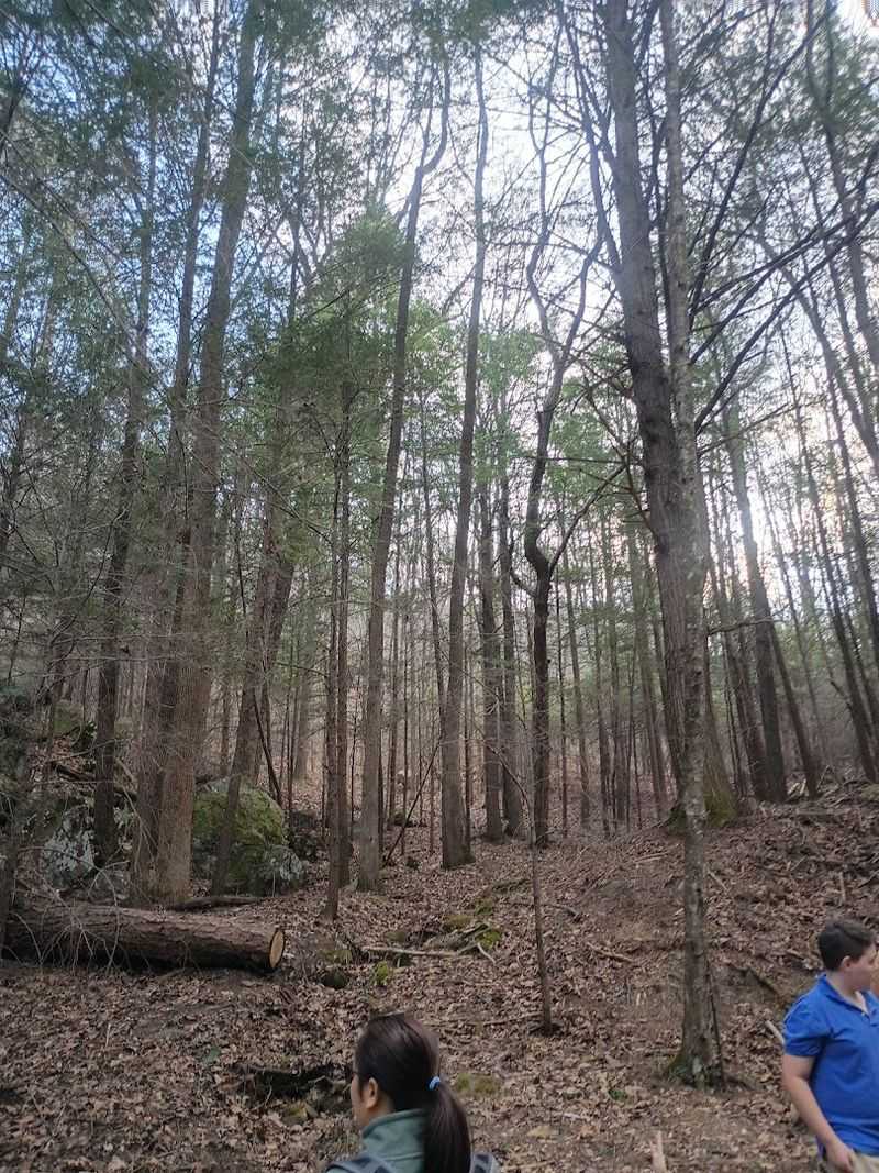 The Hensley Settlement: A Ghost Town That Is Not Actually Abandoned