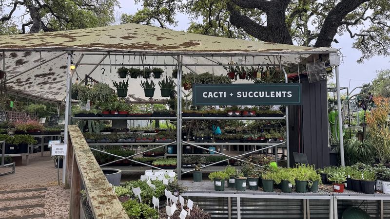 The Gift Shop Full of Things You Did Not Know You Needed