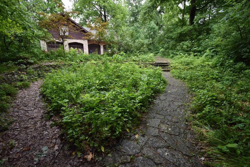 The Woodland Garden Where Fairy Tales Feel Real