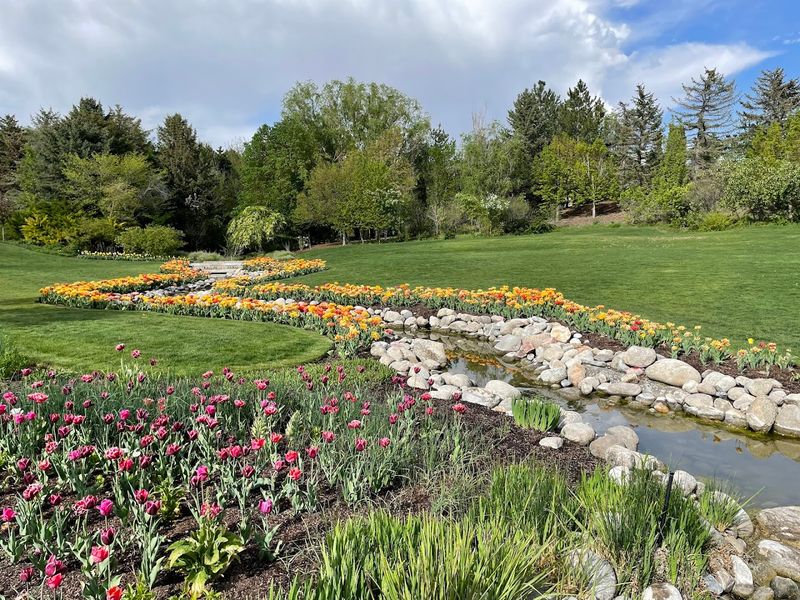 Floral Displays Add More Than Just Tulips