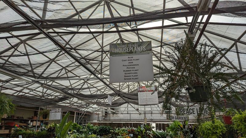 Two Locations, Double the Green Magic