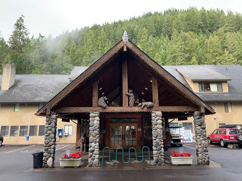 Camping Under the Cascade Canopy