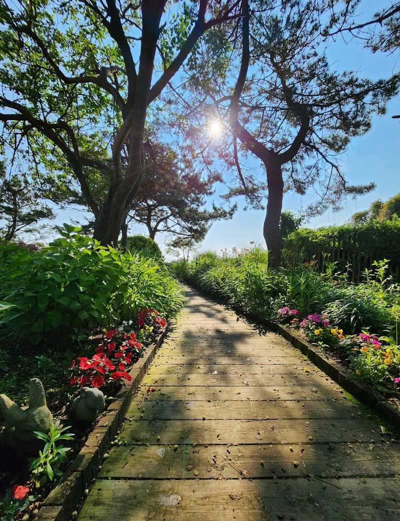 The Butterfly Garden Worth Every Step