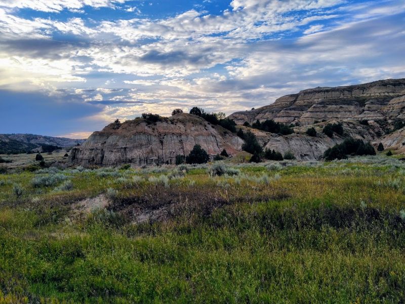 Theodore Roosevelt National Park: The Bigger Picture