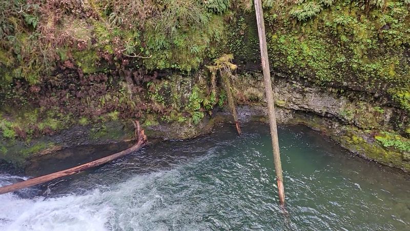 The Cafe at South Falls Lodge: A Warm Stop Mid-Adventure