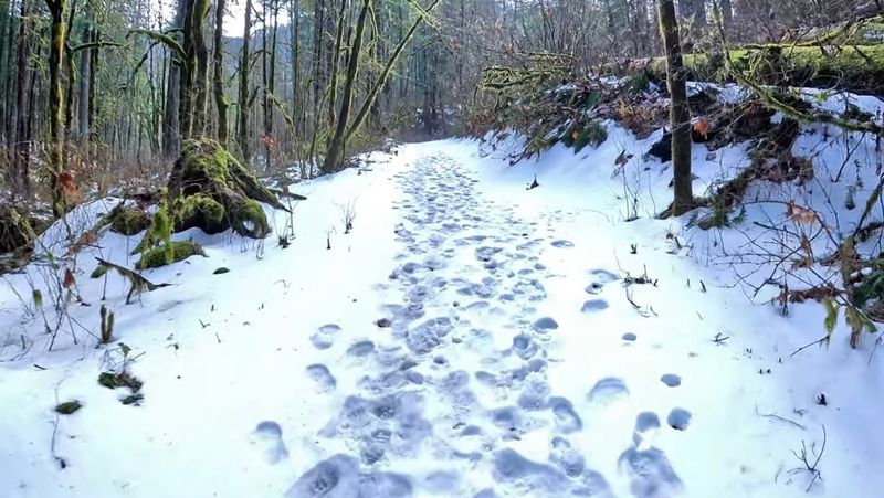 Cascade Locks: The Town Worth Stopping In