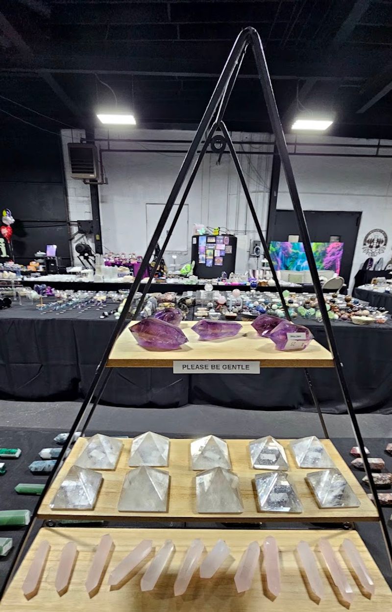 Museum-Grade Specimens That Belong in a Display Case