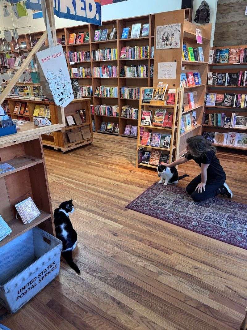 Author Events That Keep the Literary Community Buzzing