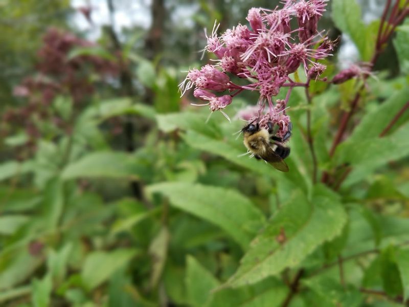 Rich Biodiversity That Surprises Even Seasoned Naturalists